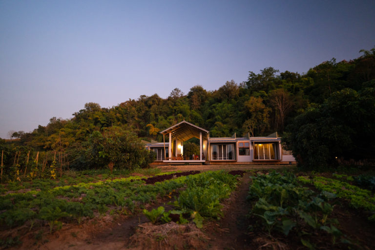 house with garden 2
