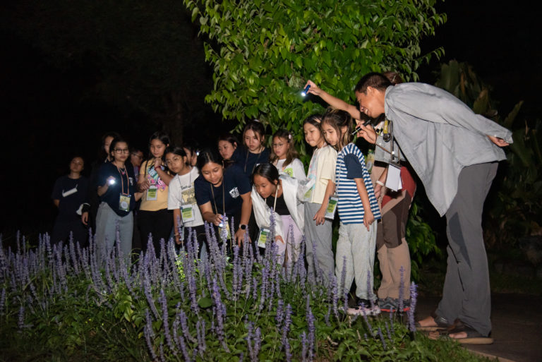 night_walk