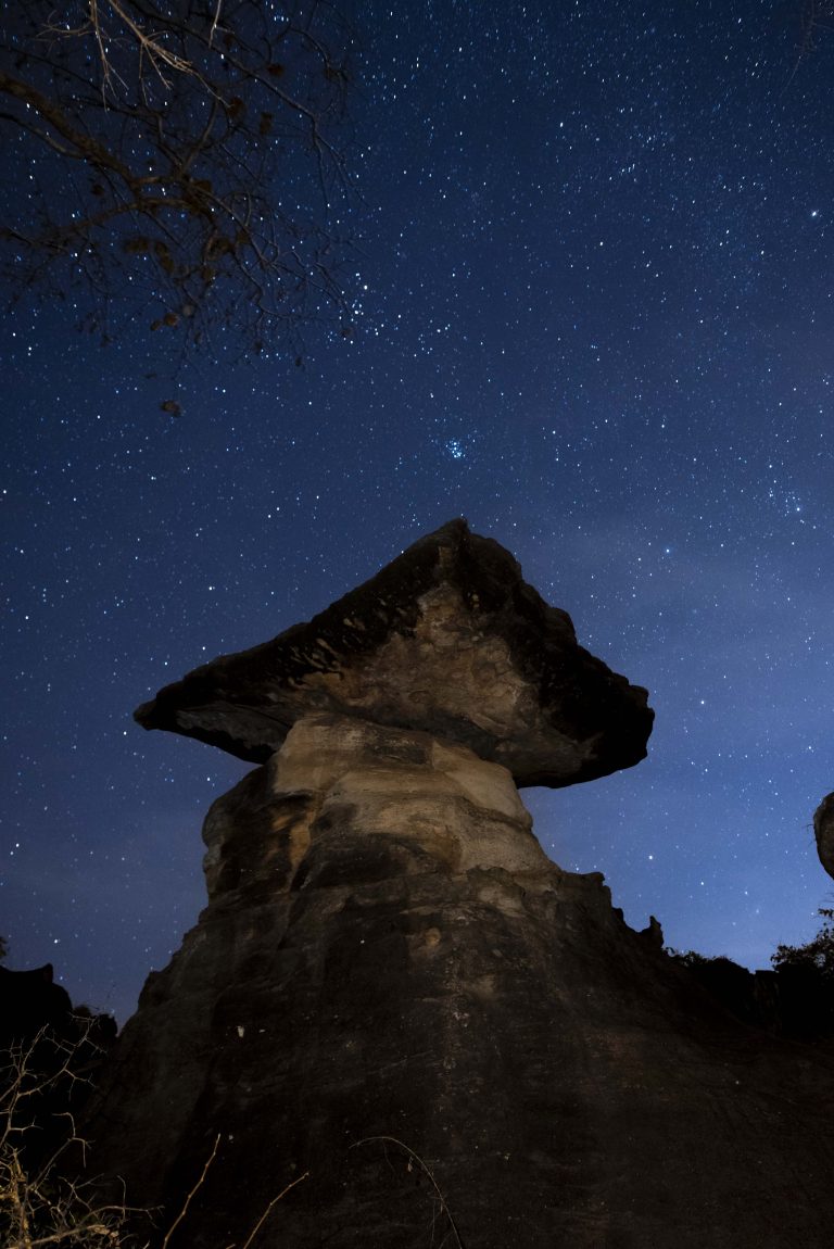 20260114 Darksky ภูผาเทิบ-173